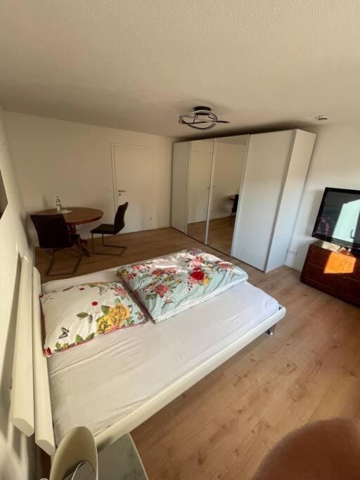 Kasa Klemm - helle und zentral gelegene Wohnung photo 4