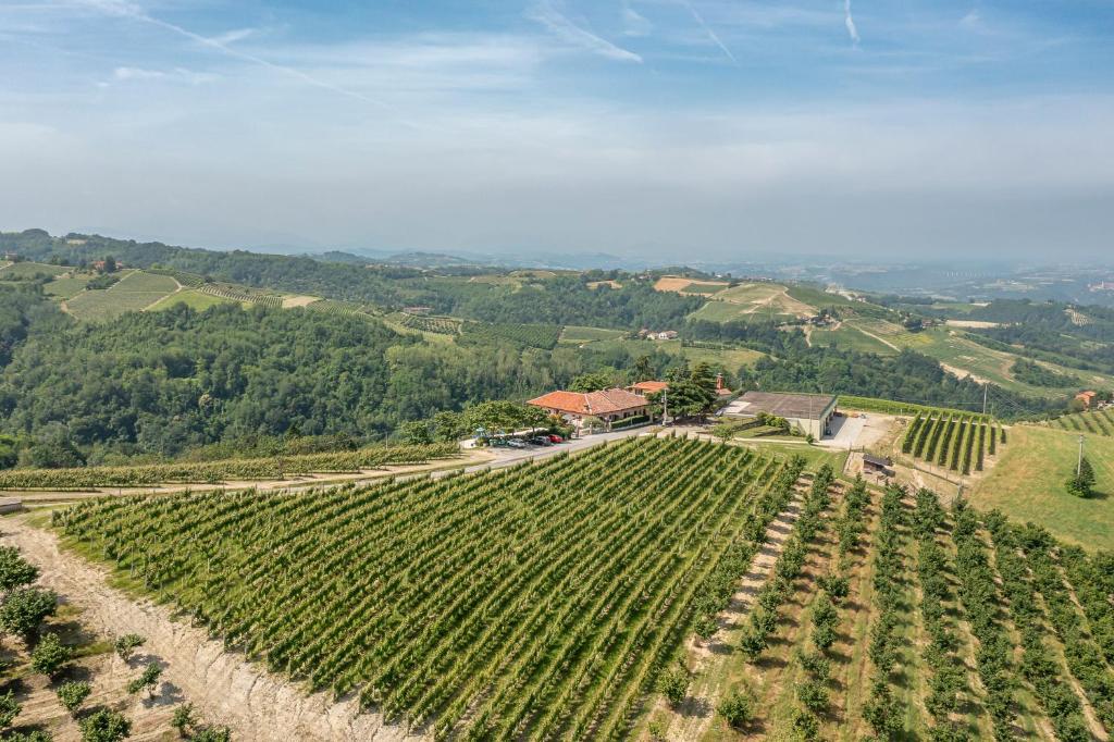 Agriturismo Cantine Bevione - Rooms with air conditioning photo 1