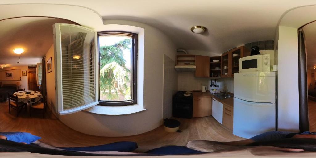 Srećko photo 2