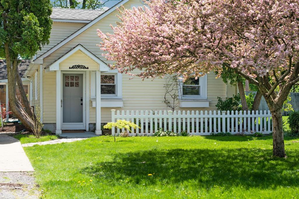 Little Yellow Cottage image