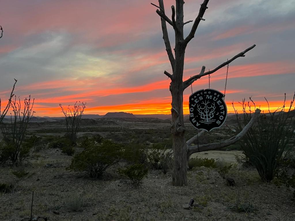 Rancho de los Arboles Muertos