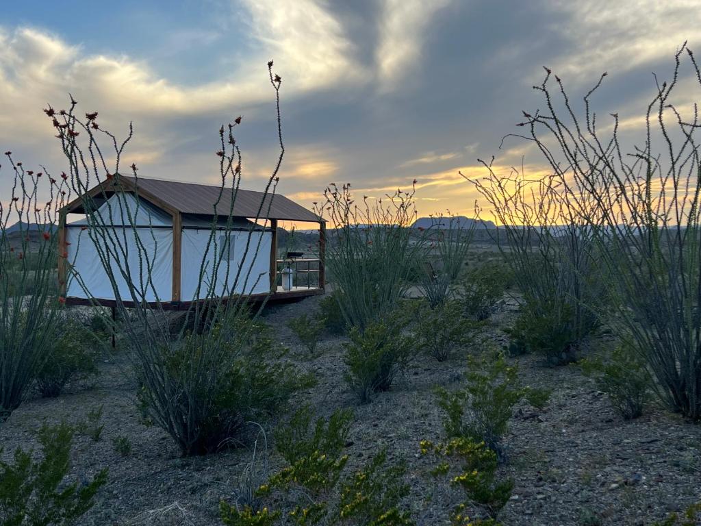Rancho de los Arboles Muertos photo 4