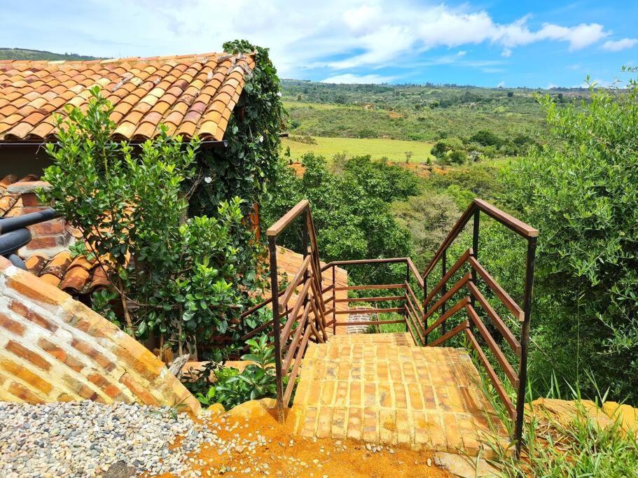 "Casa Pájaro", En la cima del Bosque con jacuzzi photo 3