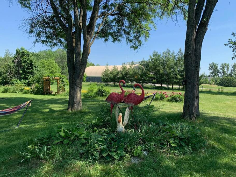 Hidden Farm Escape in the Heart of Kawarthas photo 1