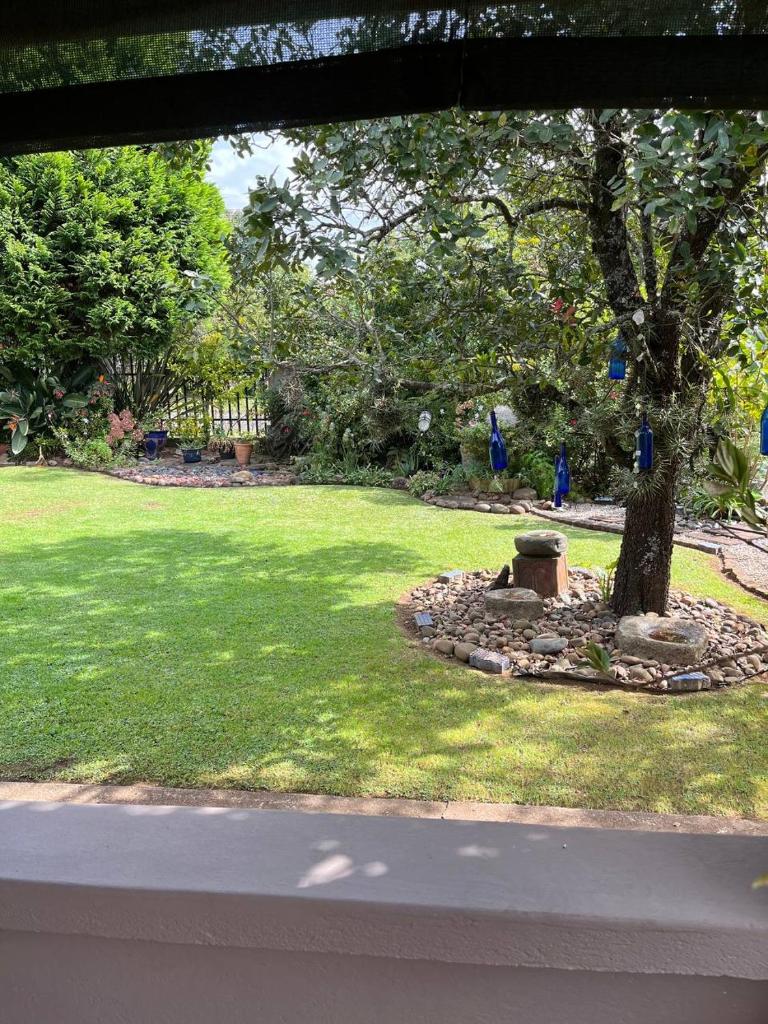 Mi Casita photo 3