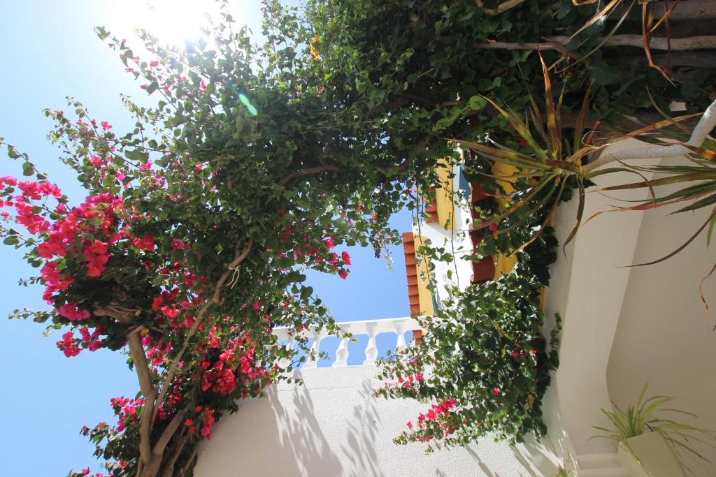 Altura Beach Townhouse photo 1