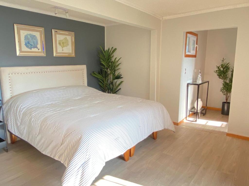 Hostal Boutique 501 photo 2