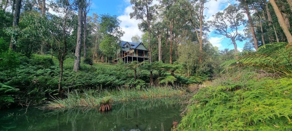 Emerald Retreat photo 2