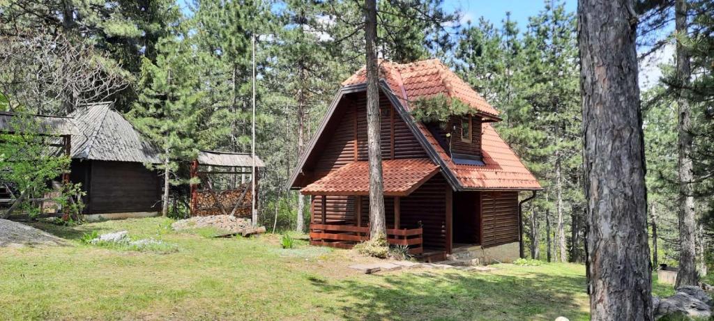Vila Tarska oblica