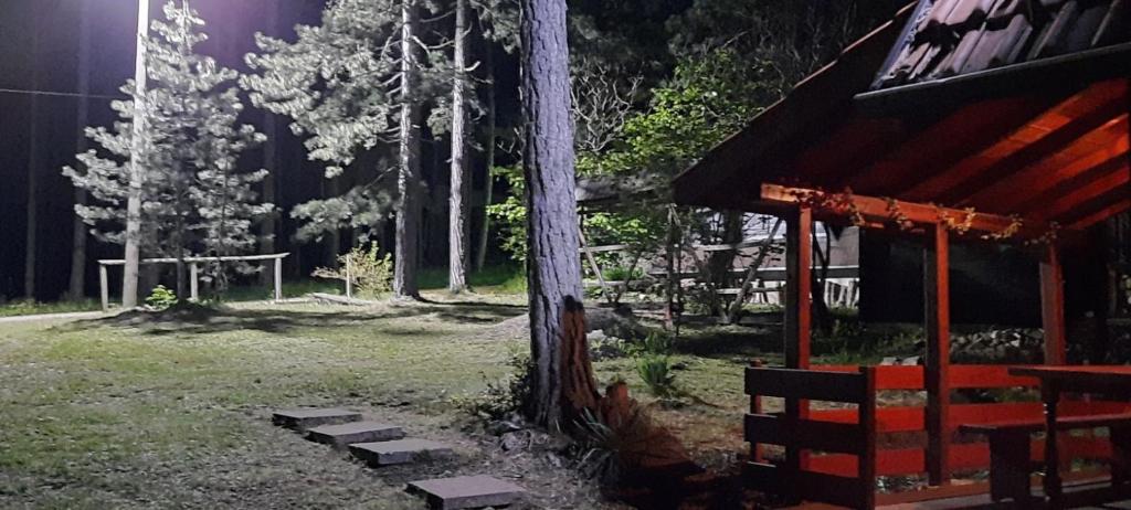 Vila Tarska oblica photo 3