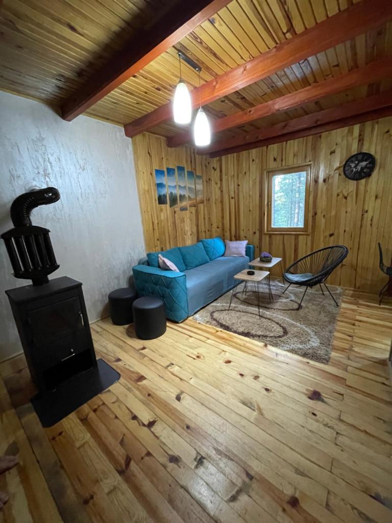 Vila Tarska oblica photo 4