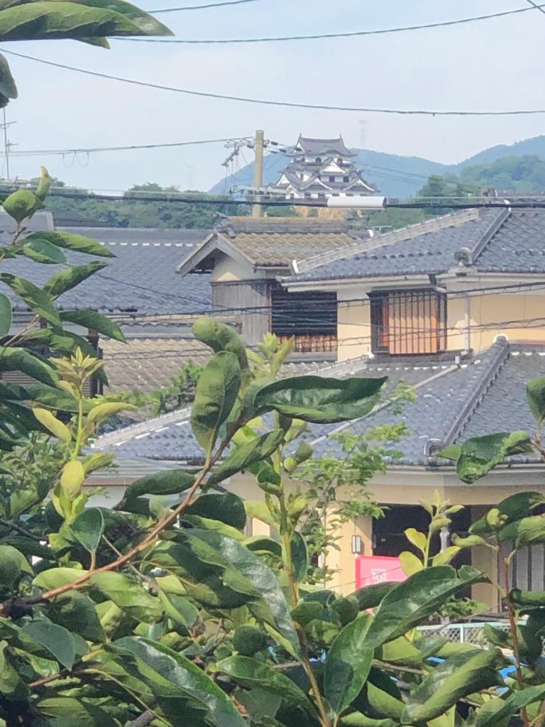 GUEST HOUSE NAGORIYA photo 4