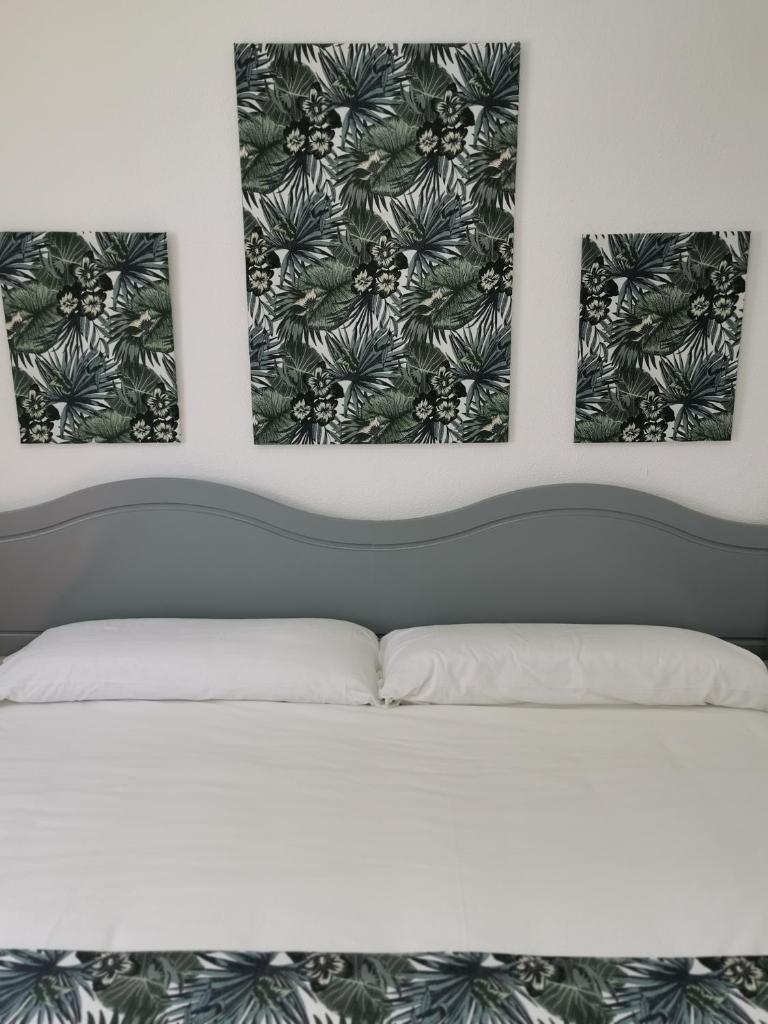 Apartamentos Oasis San Antonio photo 4