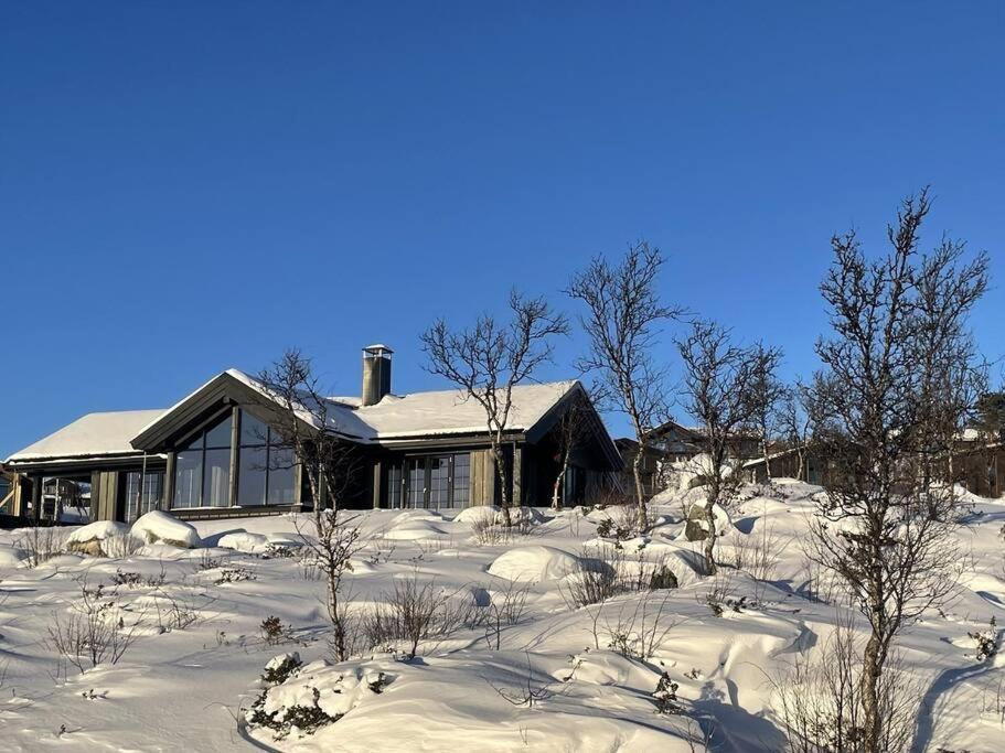 Ny kvalitetshytte-158 m2-Kikut!