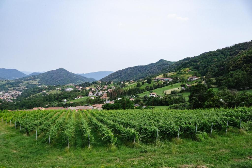 Agriturismo Podere Cavaga Lago d'Iseo Agribio Winery photo 4