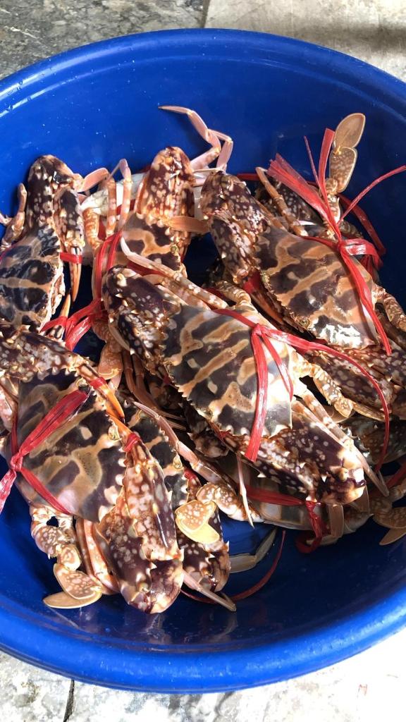 Phương Thuỷ Hotel