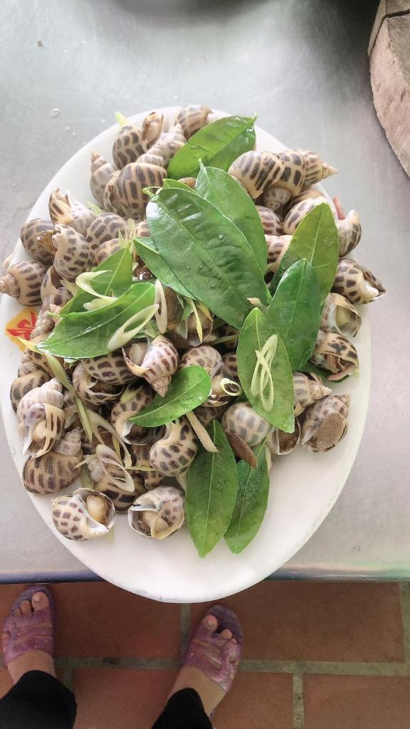 Phương Thuỷ Hotel