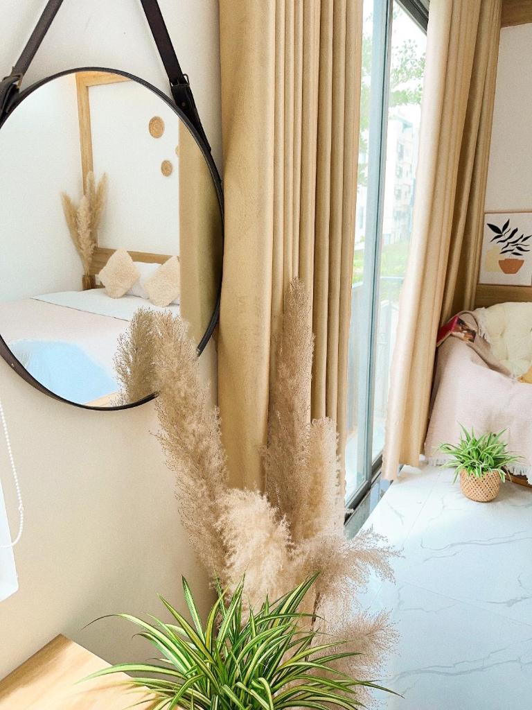 Mira de sol Homestay