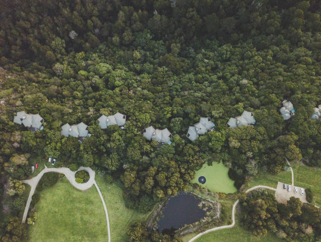 Tsala Treetop Lodge photo 1