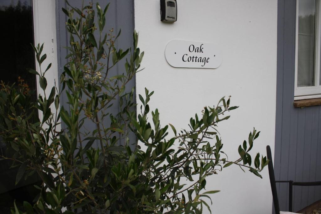 Oak Cottage - Near Abergavenny photo 1