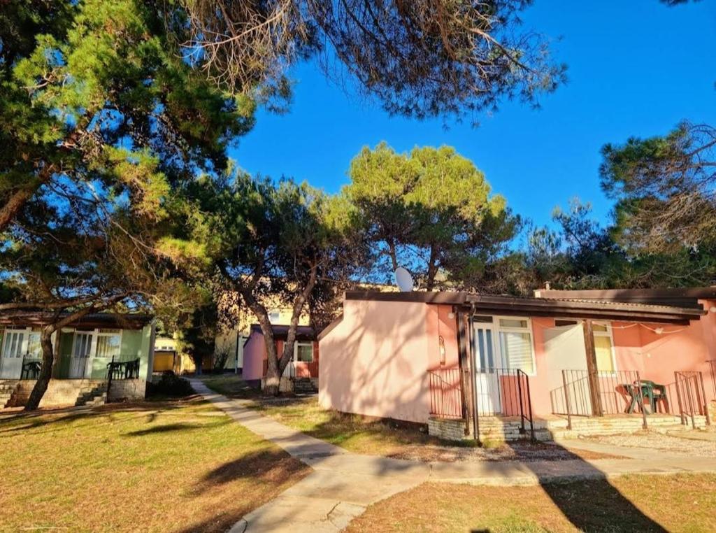 Family Bungalow Pineta photo 3