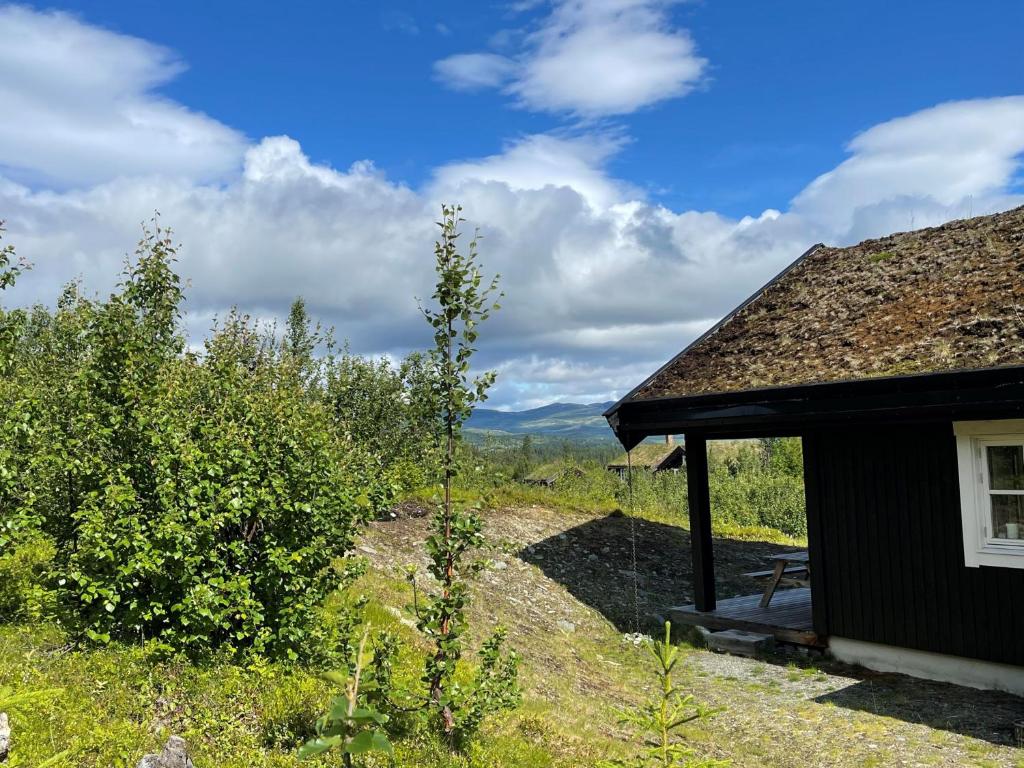 Linnaeus - 6 person cabin
