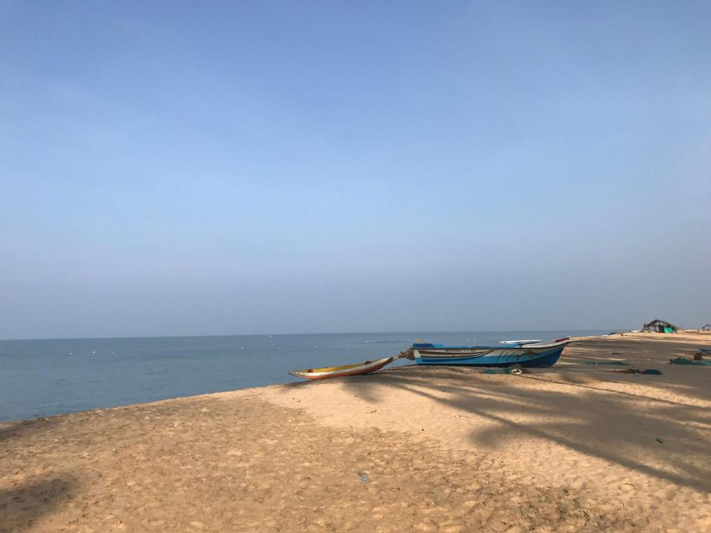 Spice of Ceylon photo 1