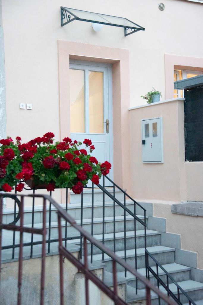 Apartments Allegra photo 3
