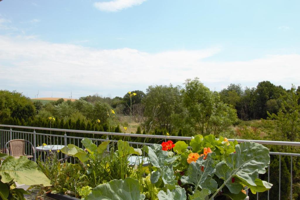 Zum süßen Stollen photo 1