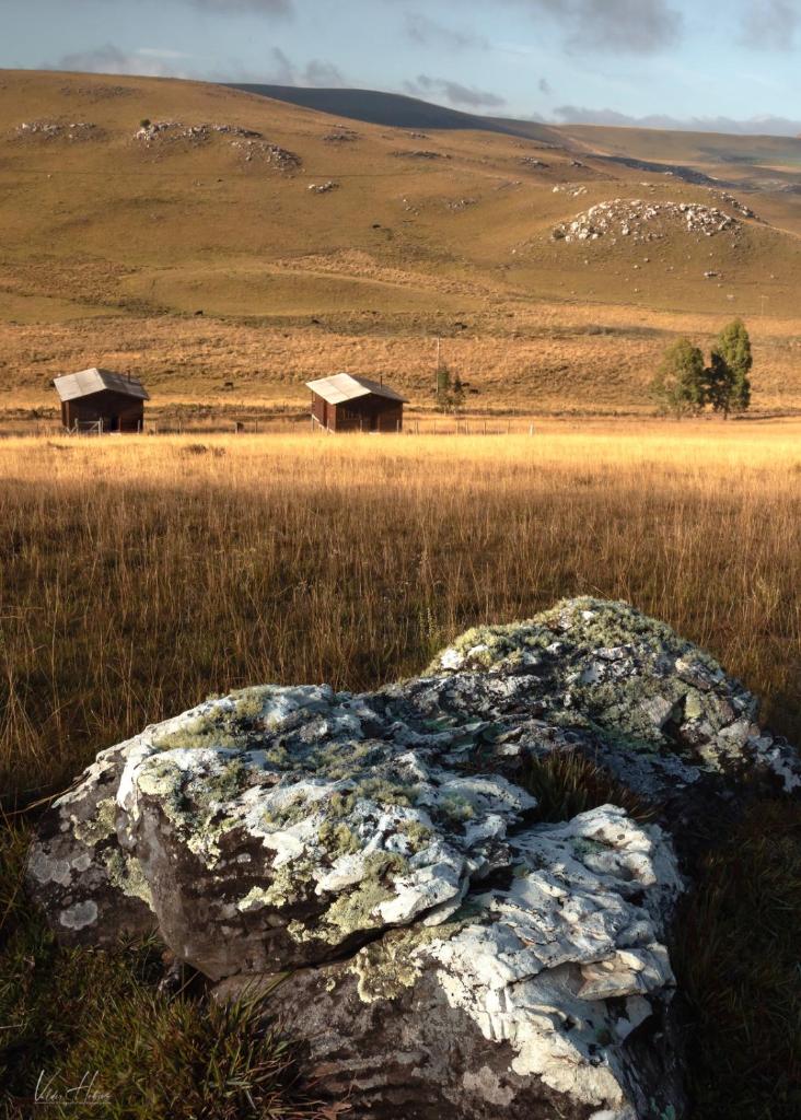 Chalé Campos Da Serra photo 1
