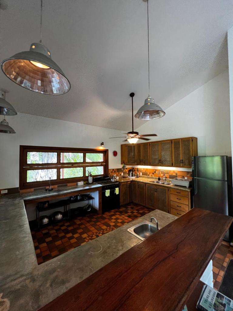 Turtle Beach House photo 3
