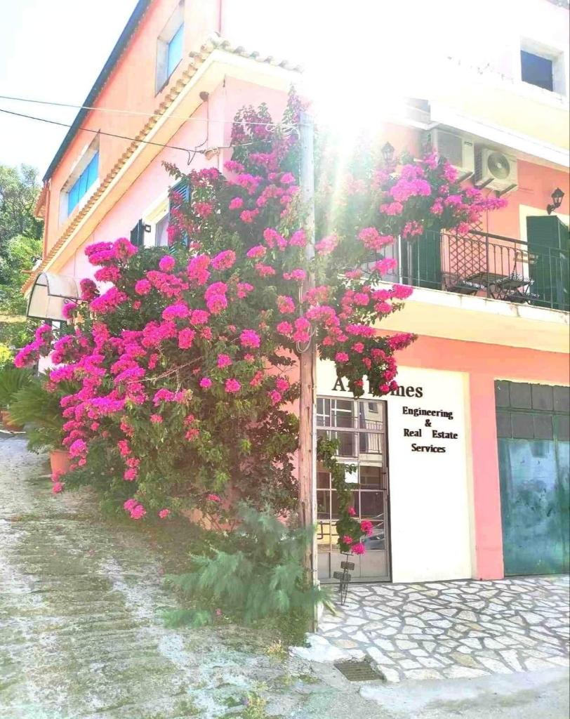 Voukamvilia Boutique Apartment photo 2