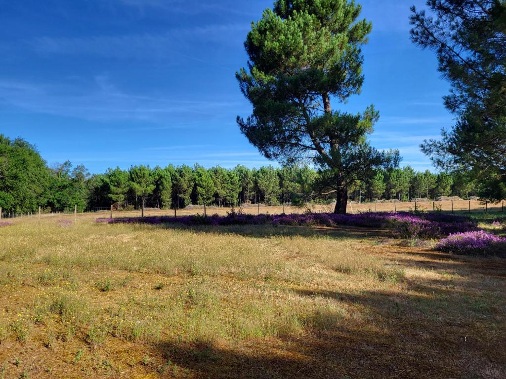 Domaine de La Sarrotte photo 4