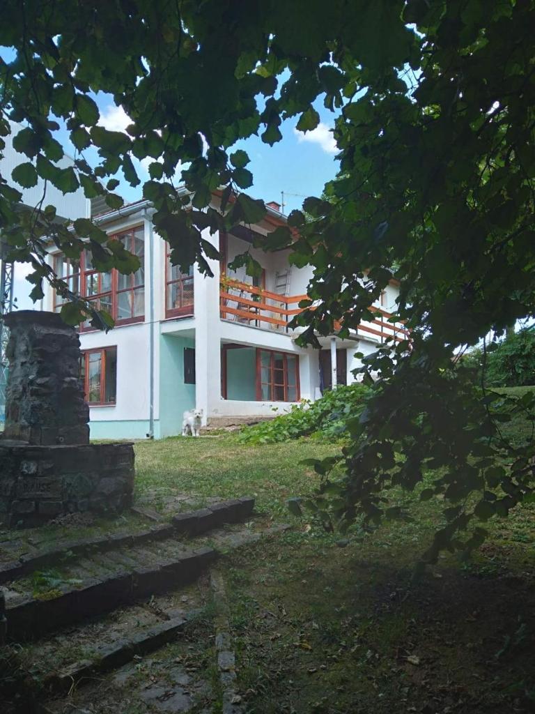 Vila Zvončica photo 2