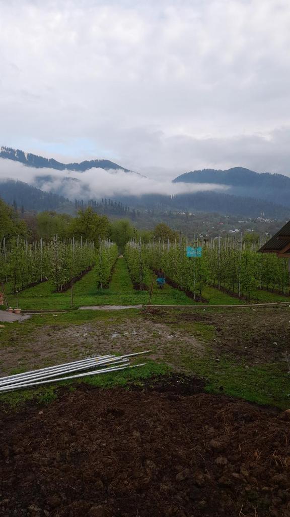 Brengi Organic Farm & Resorts