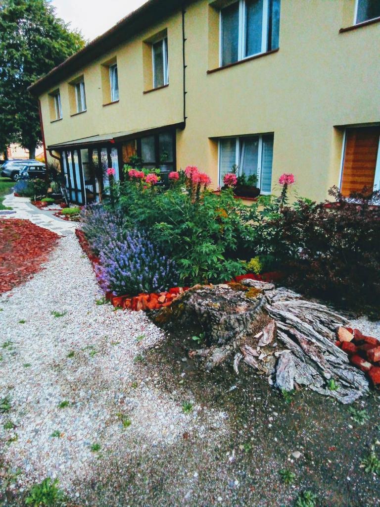 Apartamentai KINTAI photo 2