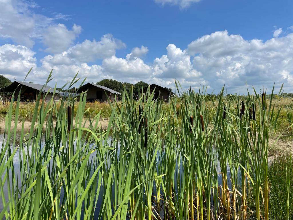Camping De Heerlijkheid Vorenseinde