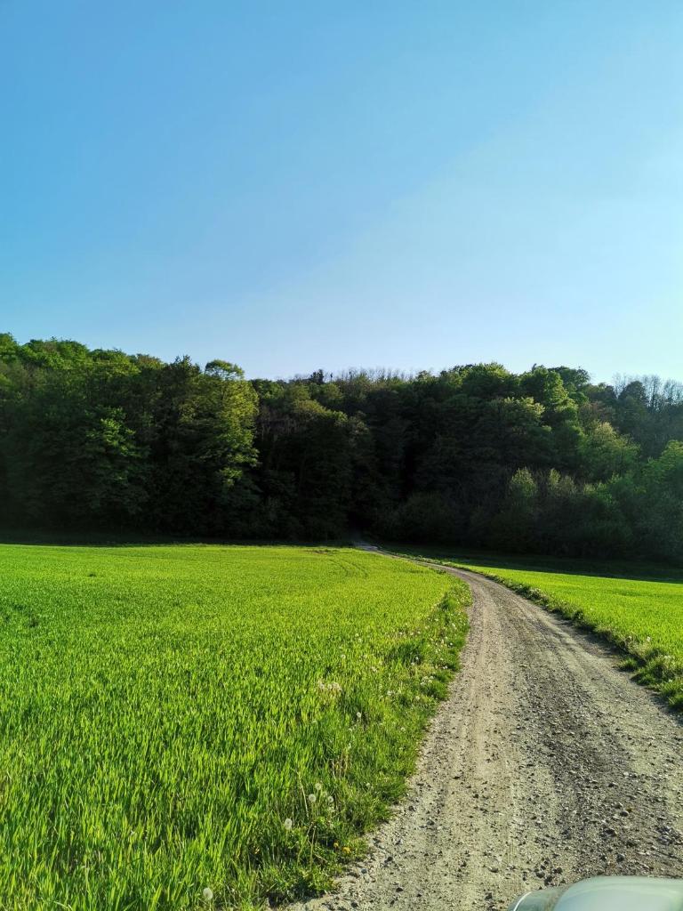 Forest paradise photo 1