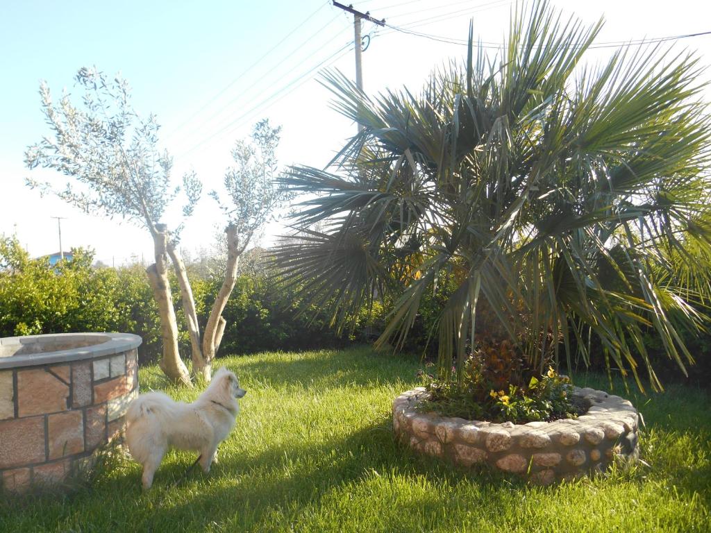 The Garden Guest House photo 2