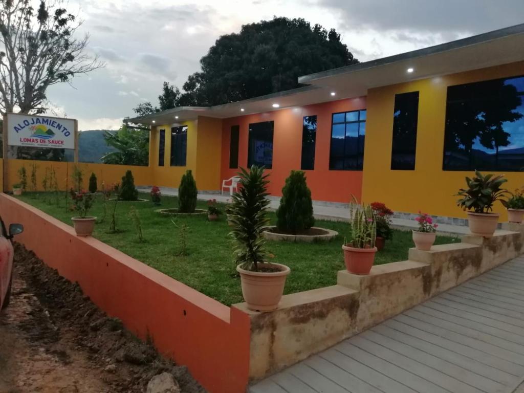 LOMAS de SAUCE
