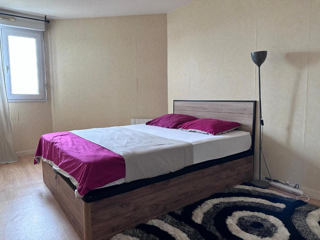 Appartement t2 Pessac photo 3