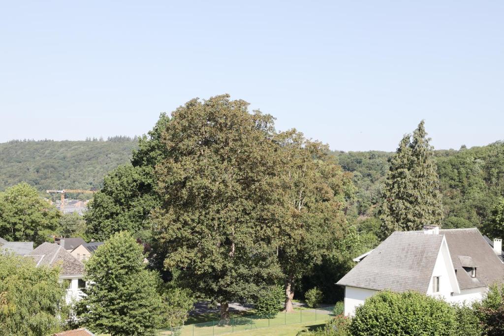 Au Temps de Spa - La Tour du Tonnelet photo 2