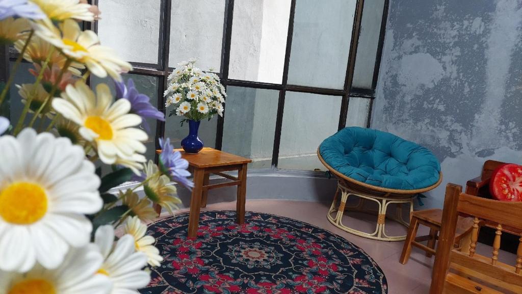 alley homestay_Liễu Giai