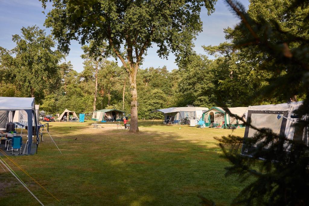 RCN Vakantiepark de Noordster photo 4