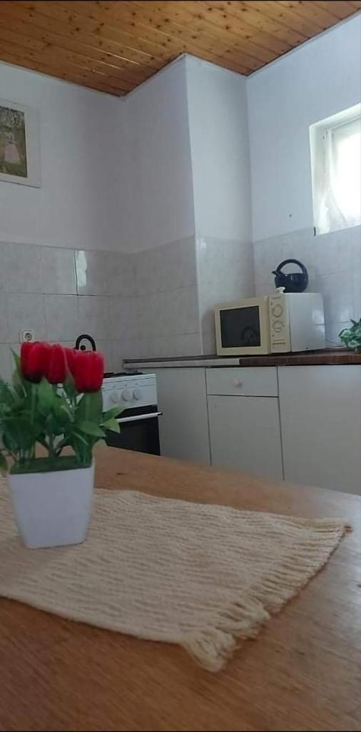 Badacsonyi privát bérlemény photo 4