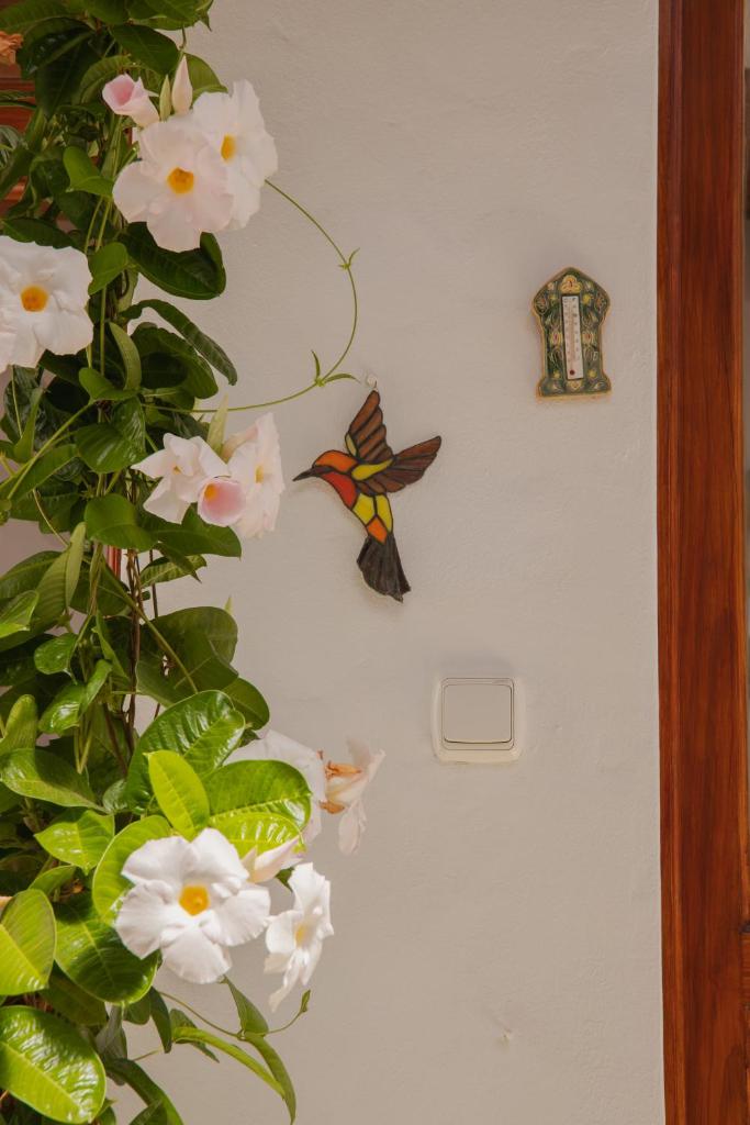Casa Carmen photo 3