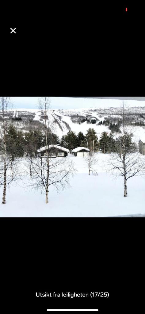 Bjorli Apartment with everything photo 3