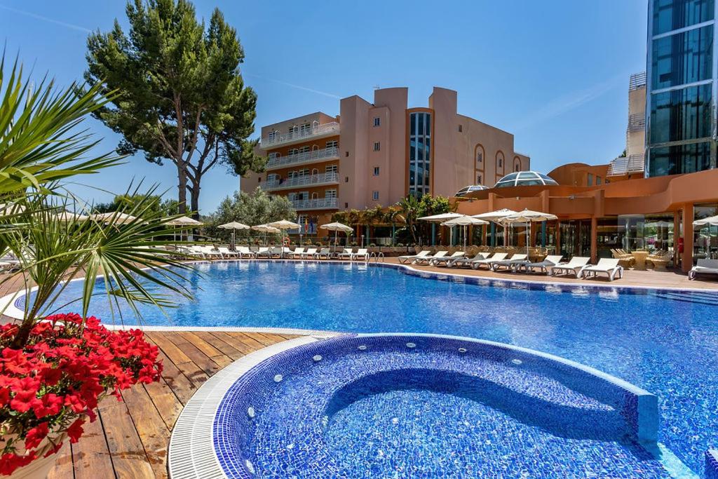 Ona Palmira Paradise photo 3