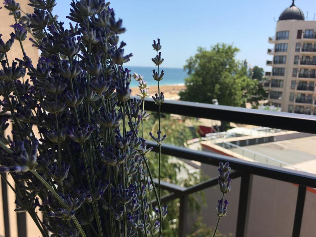 Sunny apartment Lavanda Golden Sands 1st line photo 1