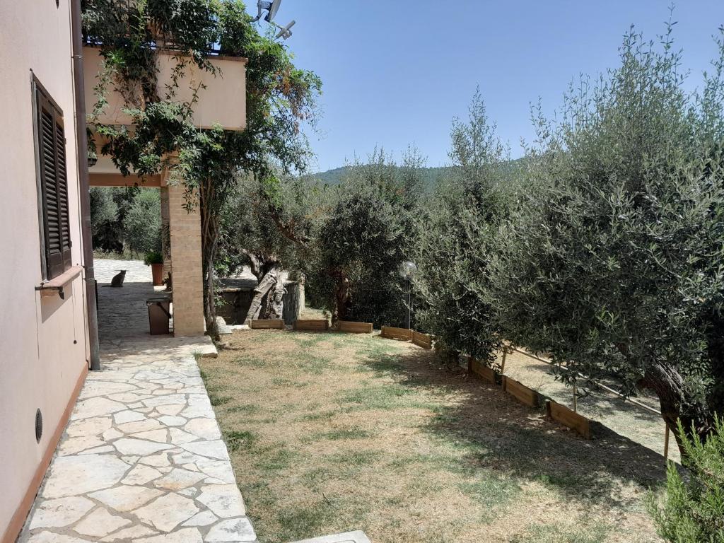 I Gufetti photo 3